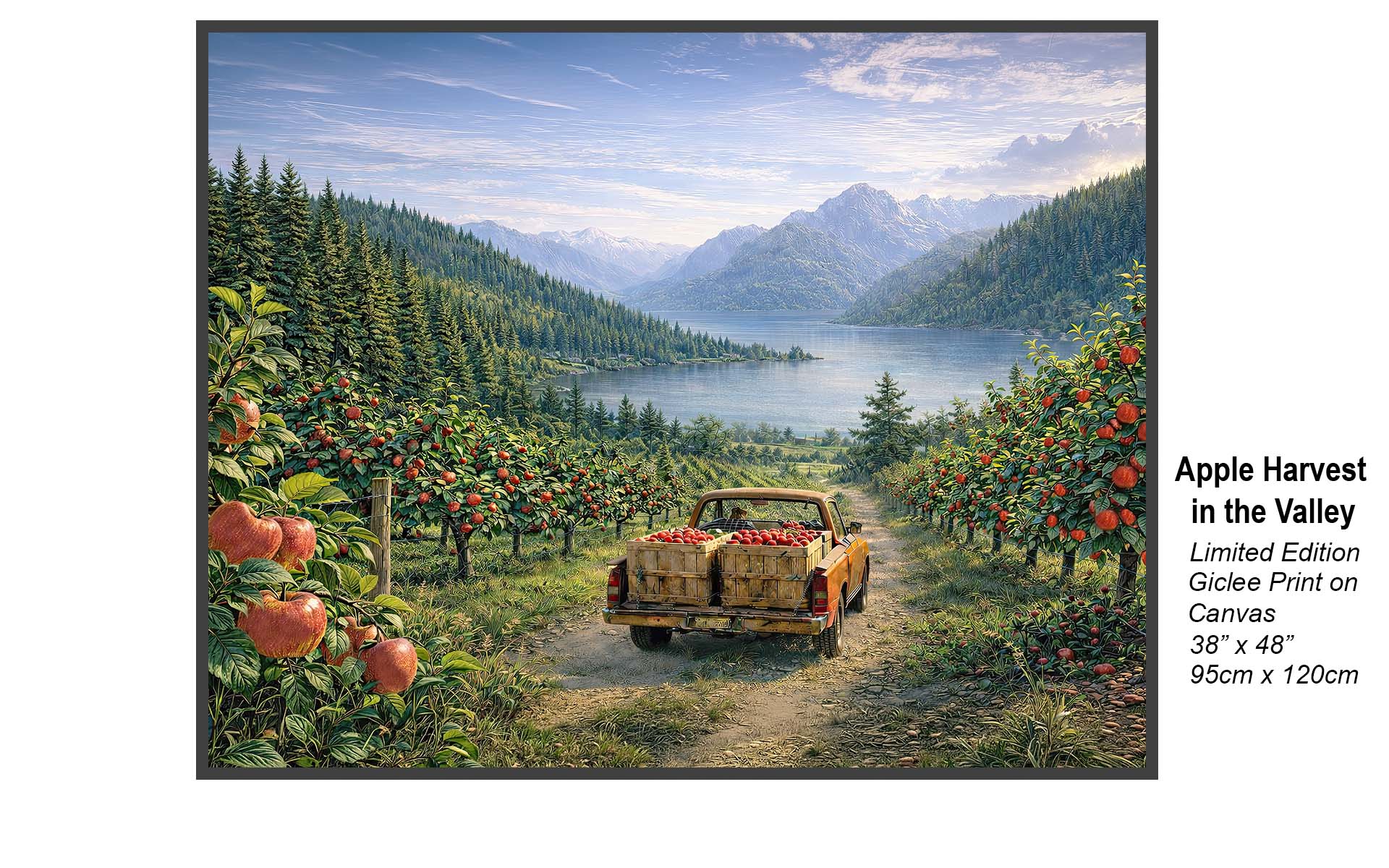 Apple Harvest in the Valley – Scenic Orchard Landscape | Limited Edition Canvas Art