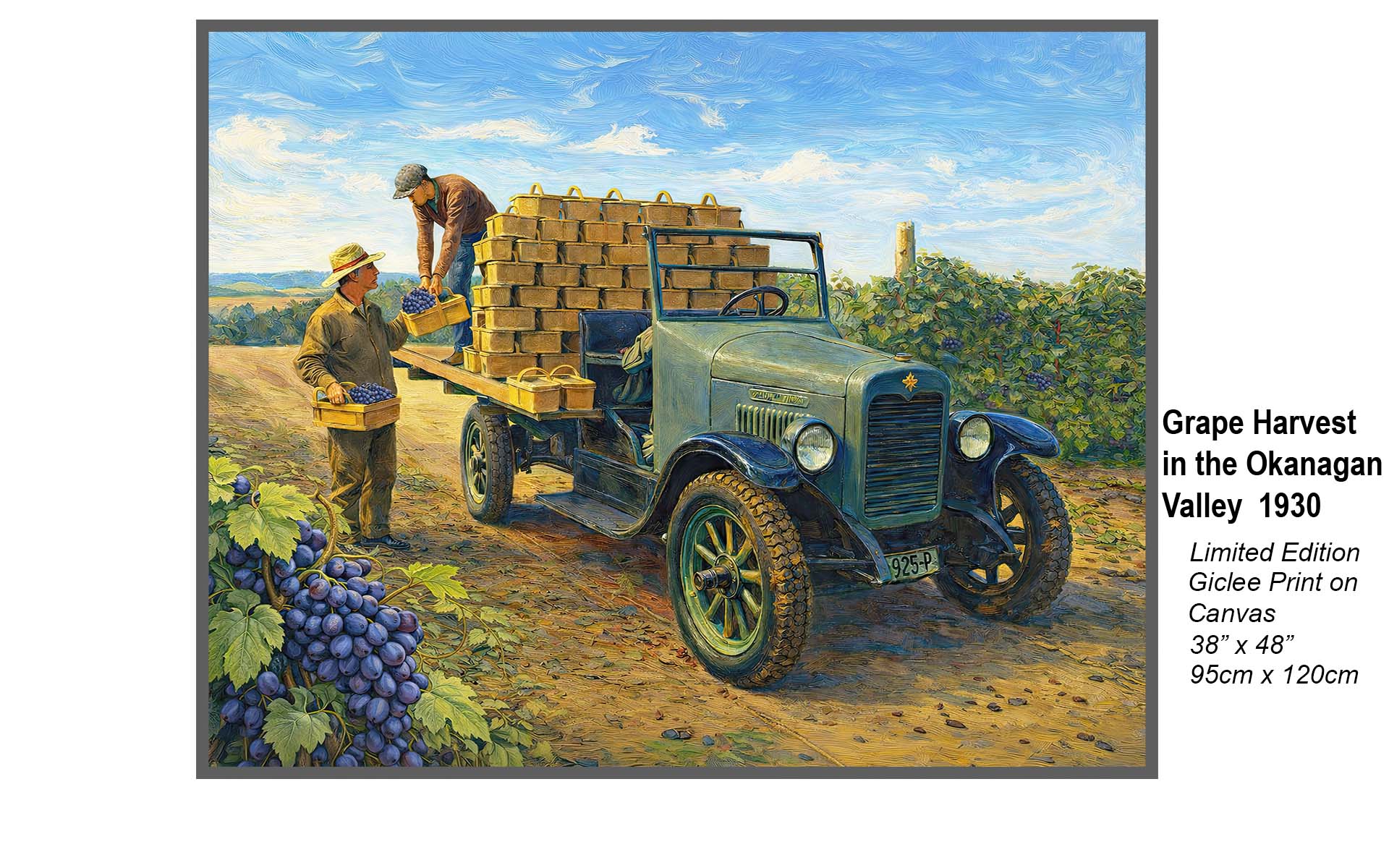 20th Century Grape Harvest in the Okanagan Valley – Vintage Vineyard Oil Painting