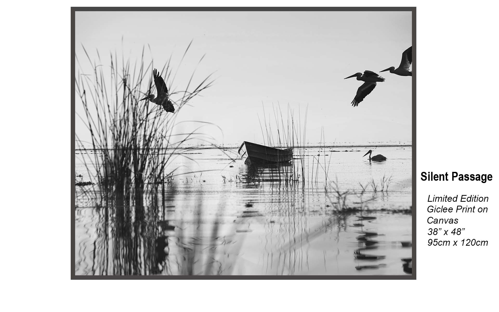 Silent Passage – Monochrome Coastal Bird & Marsh Wall Art