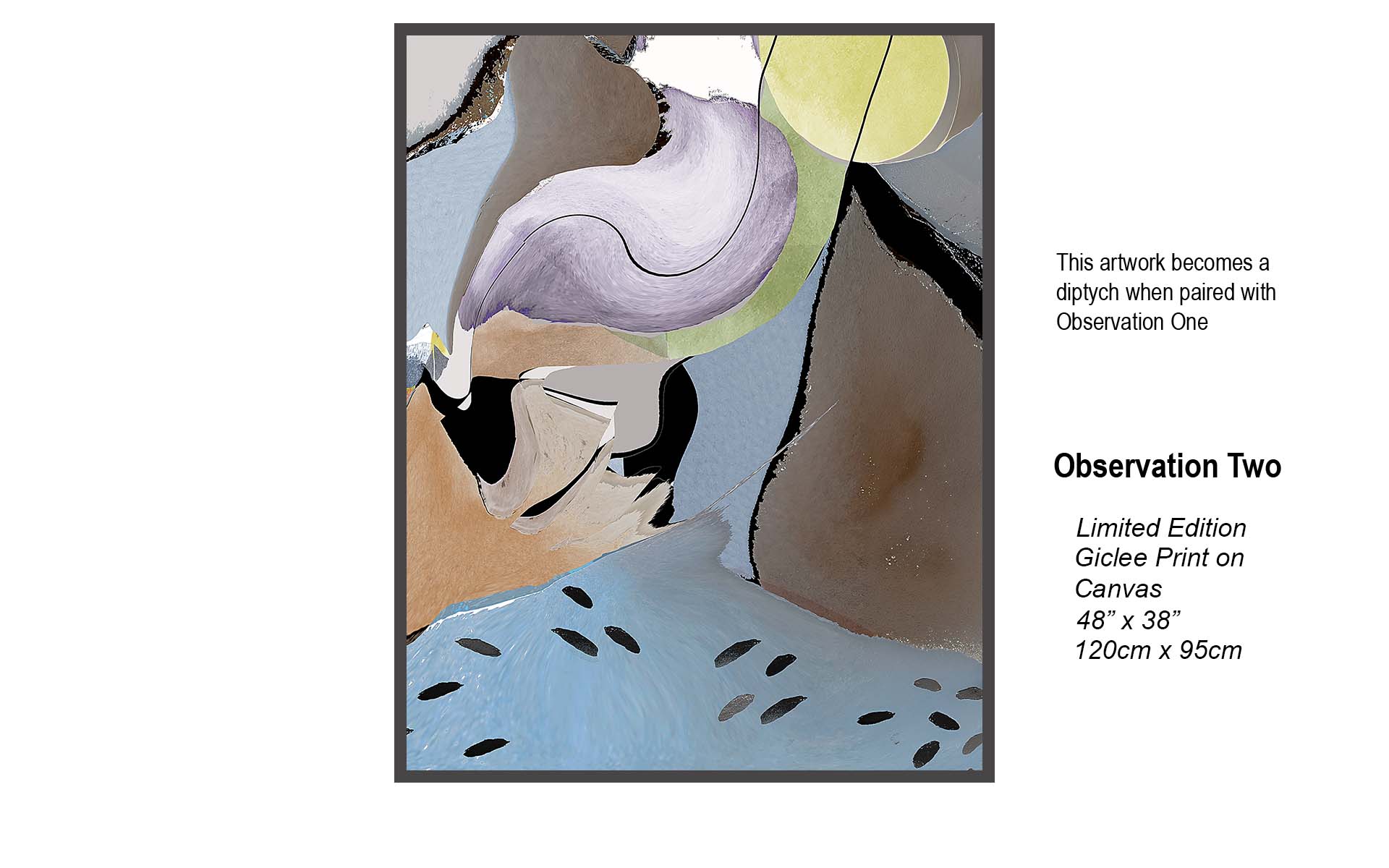 Observation Two | Contemporary Abstract Art | Studio B Originals