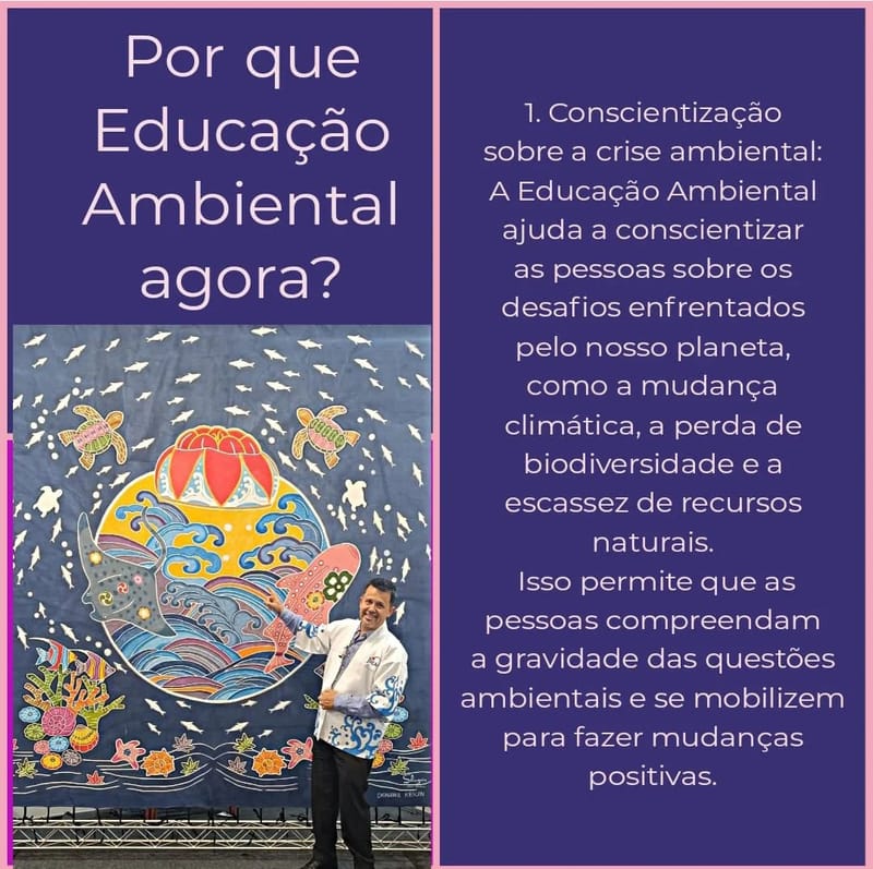 Por que Educação Ambiental agora?