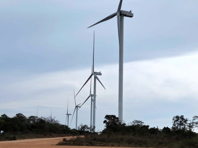Educação Ambiental para a vida...