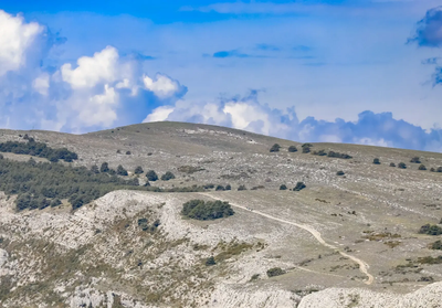 L’HISTOIRE GÉOLOGIQUE DU MASSIF ALPIN EN PROVENCE