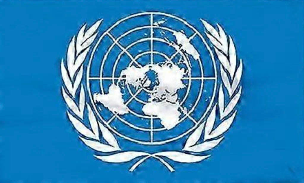 A Call to Member States / un appel aux États membres. Revitalizing the United Nations: Ariel FRANCAIS, Merida (Méxique)