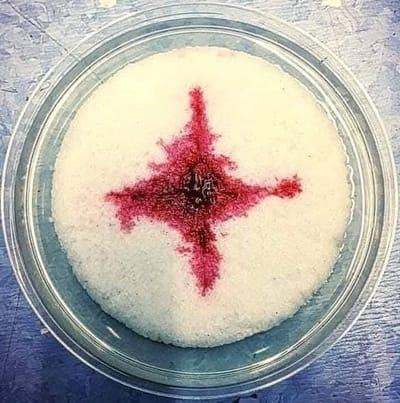 أعجوبة تحول القربان الأقدس إلى جسد ودم يسوع المسيح