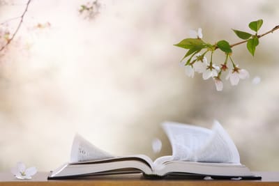 إنجيل اليوم 2025/7/3 - الخميس الرابع من زمن العنصرة