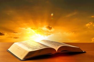 إنجيل اليوم 2025/7/4 - يوم الجمعة الرابع من زمن العنصرة