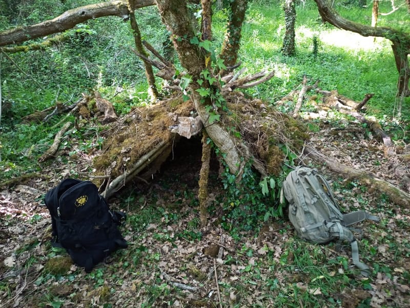Stage (sur)vie en forêt