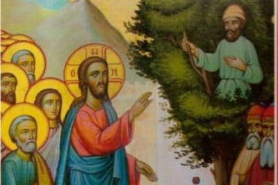 Lord, Look at Me as You Looked at Zacchaeus