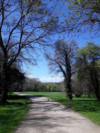 Les ateliers bien-être avec l'association Reste et Soi
