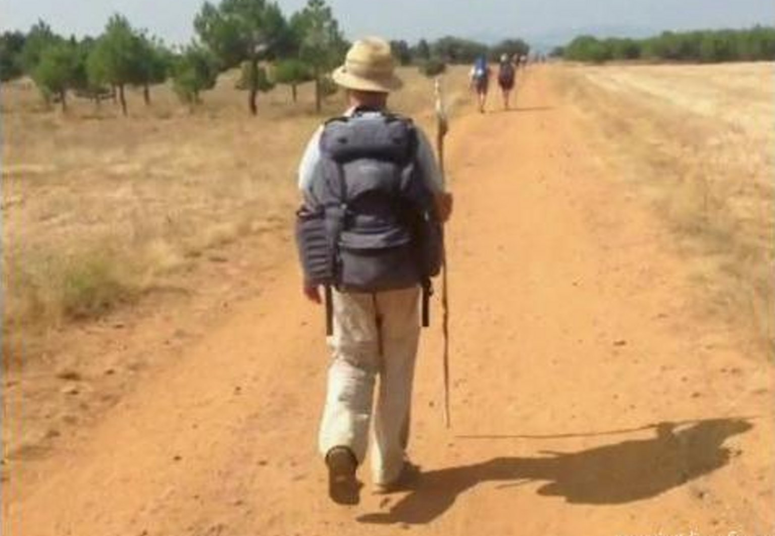 poesiaviandante narrante