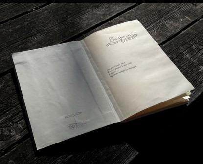 𝓲 𝓣𝓪𝓬𝓺𝓾𝓲𝓷𝓲 𝓬𝓪𝓻𝓽𝓪𝓬𝓮𝓲