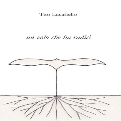 un volo che ha radici