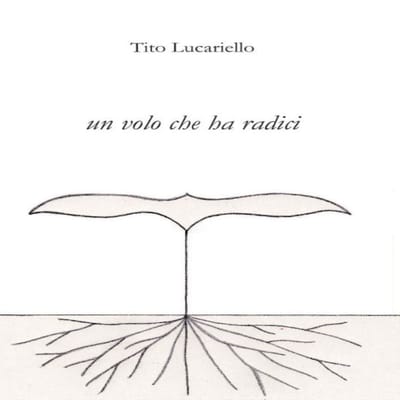 un volo che ha radici