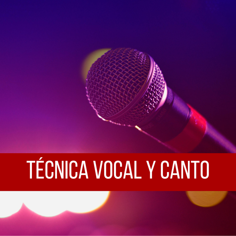 Técnica vocal y canto