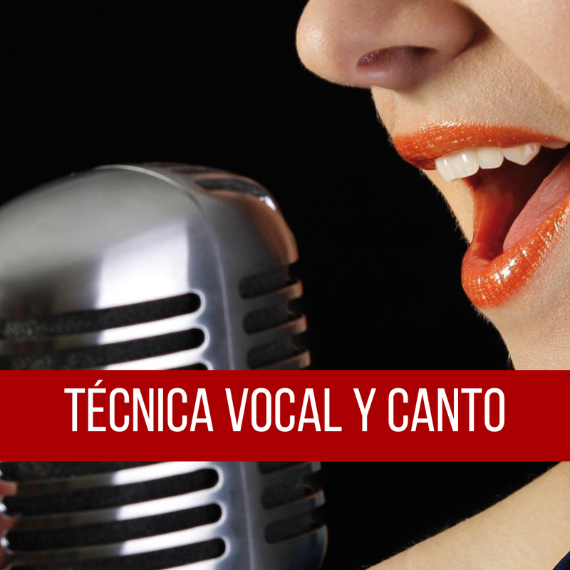 Técnica vocal y canto