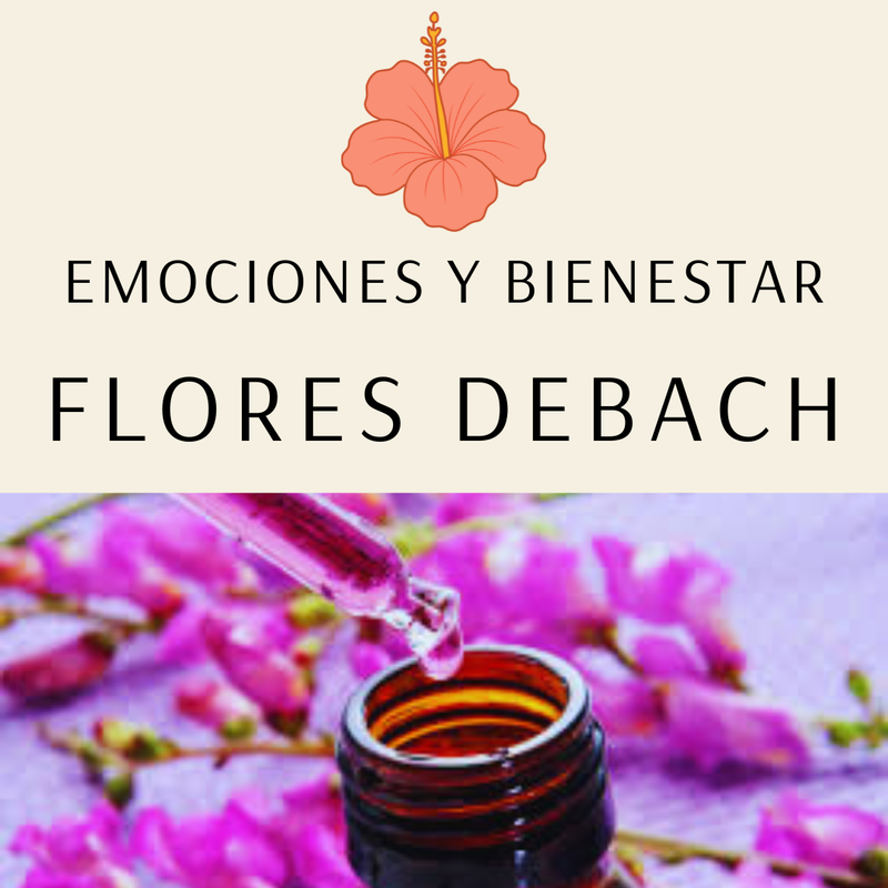 Emociones y bienestar: cómo las Flores de Bach nos ayudan a sanar