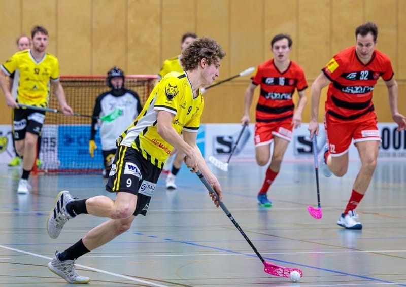 Gators stehen dank Kantersieg definitiv in den Playoffs