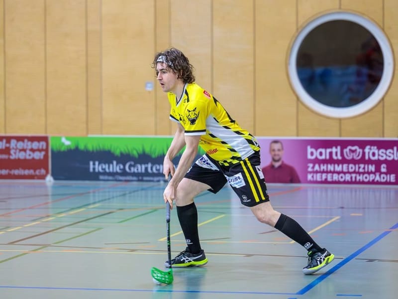 Gators wollen dritter Sieg in Serie