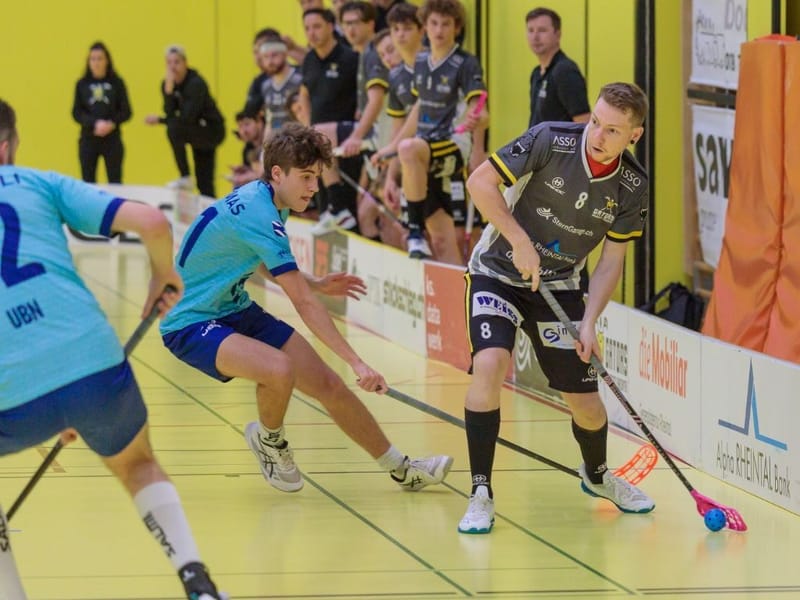 Gators verlieren trotz guter Leistung