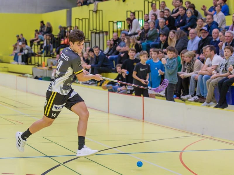 Gators gegen Bülach als Aussenseiter