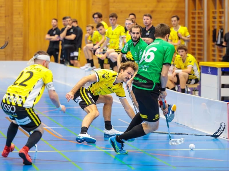 Gators vor wichtigem Heimspiel