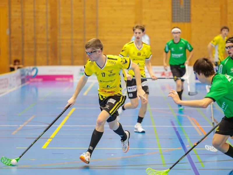 Gators enttäuschen gegen Herisau