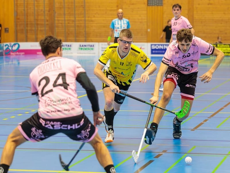 Gators wollen auf Siegerstrasse zurückkehren