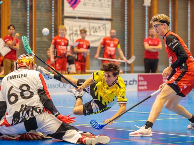 Gators stehen vor Derby