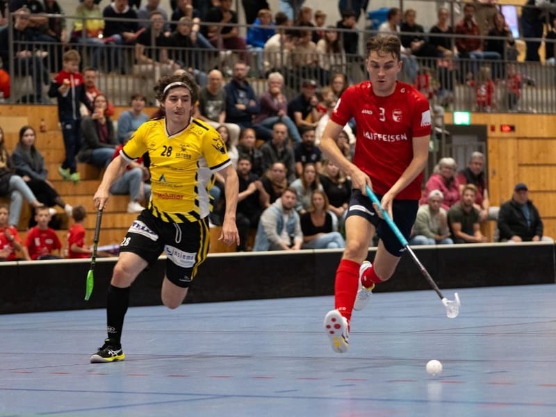 Gators zeigen gute Leistung, verlieren aber dennoch