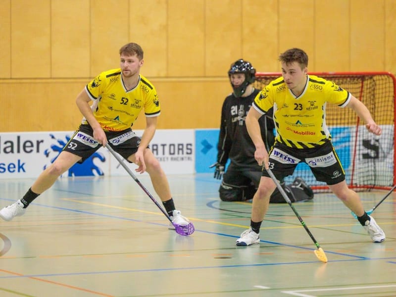 Gators spielen Auswärts zweites Playout Spiel