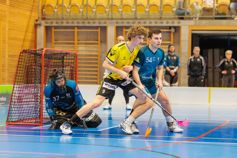 Gators mit letztem Heimspiel der Rückrunde