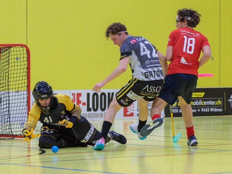 Gators gewinnen zum Abschluss der regulären Saison