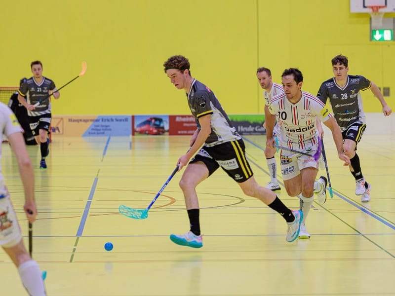 Gators mit Abschluss der regulären Saison