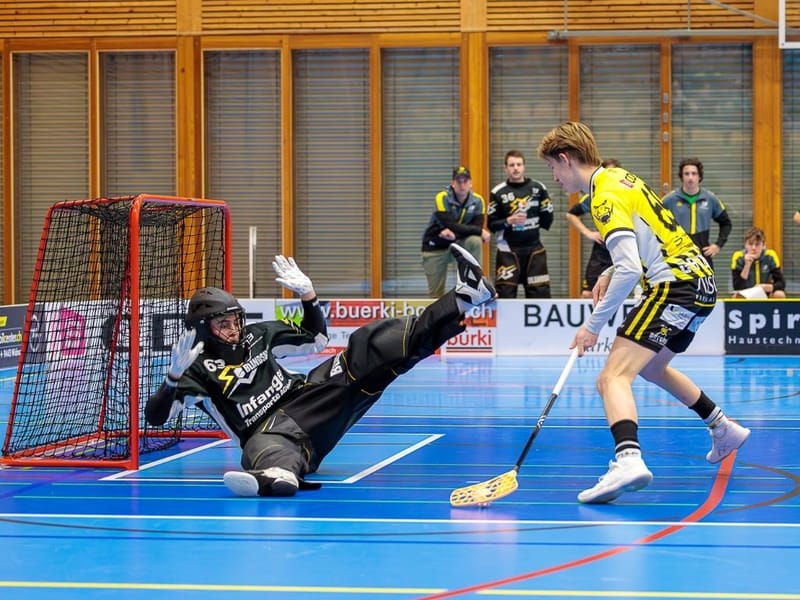 Gators müssen Reaktion zeigen