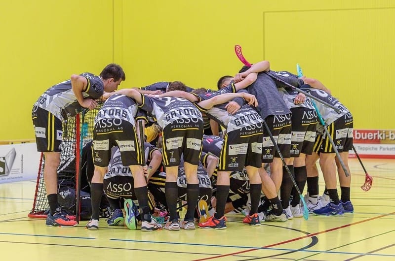 Gators treffen auf Schlusslicht Glattal