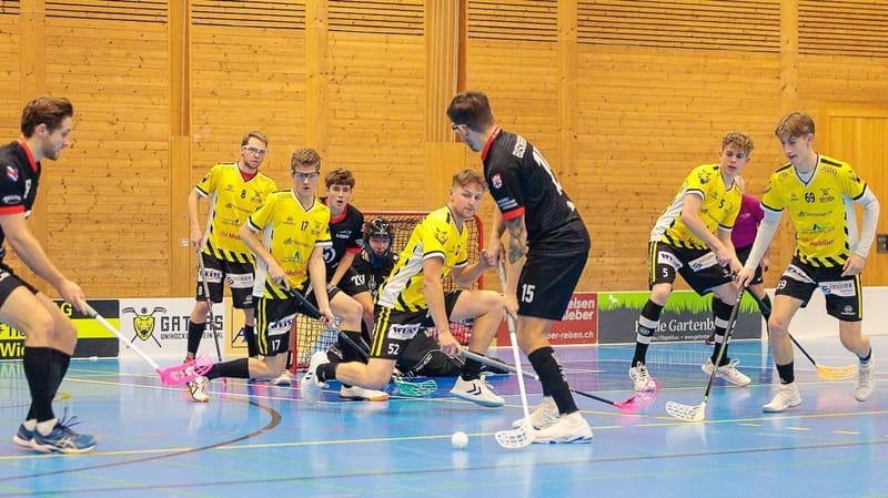 Vorbericht Spiel 12 vs. Pfannenstiel Egg