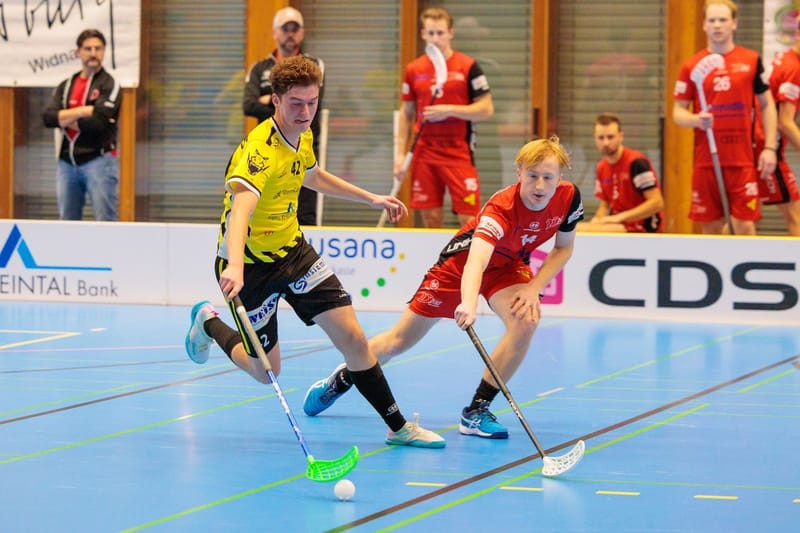 Vorbericht Spiel 9 vs. Floorball Uri