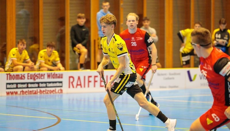 Gators verlieren unnötig gegen Vipers InnerSchwyz