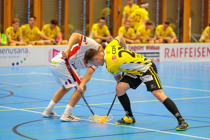 Vorbericht Spiel 8 vs. Vipers InnerSchwyz