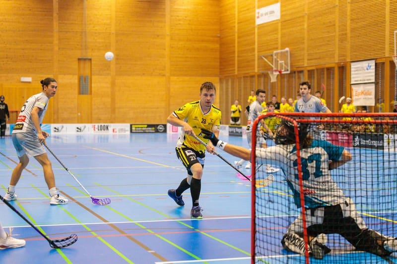 Vorbericht auf Meisterschaftsspiel 6 gegen den UHC Winterthur United