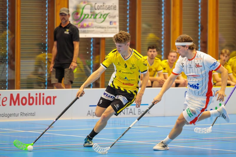 Spielbericht Meisterschaftsspiel 2 vs. Red Devils March-Höfe