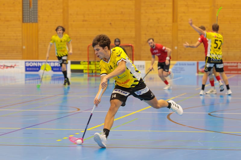 Gators haben Chance auf Sensation