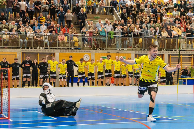 Gators geben sich im Finale nicht geschlagen