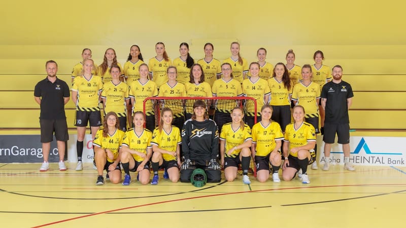 Cup Damen 1 vs. Bassersdorf Nürensdorf