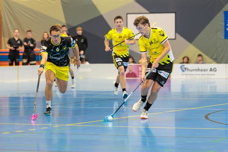 Gators wollen Reaktion zeigen