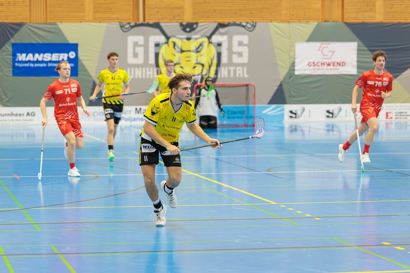 Gators erst beim Leader, dann zuhause gegen Herisau