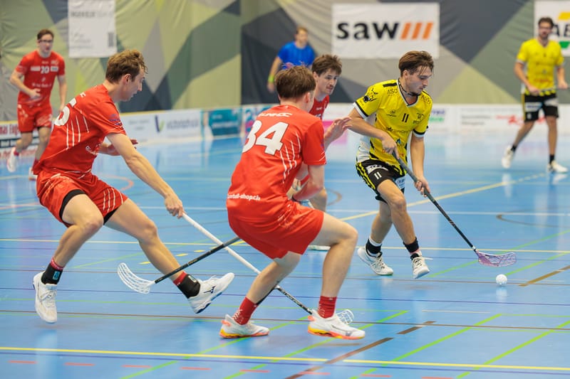 Gators empfangen Leader aus Uri