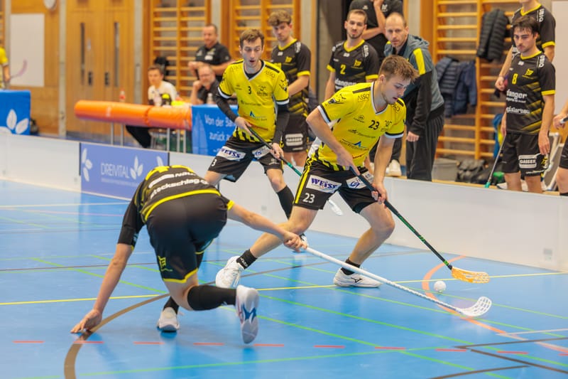 Gators treffen auswärts auf Zuger Highlands