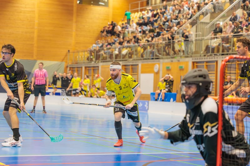 Kantersieg für Rheintal Gators